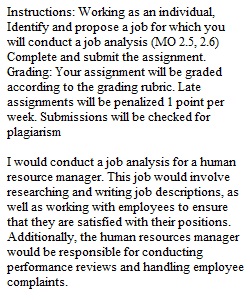 Module 2 Individual Assignment